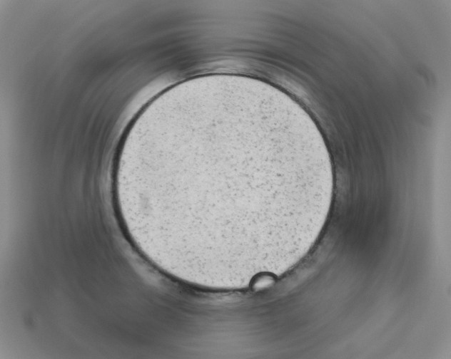 X0000112821426200910021152