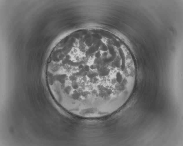 X0000112821429200910021152