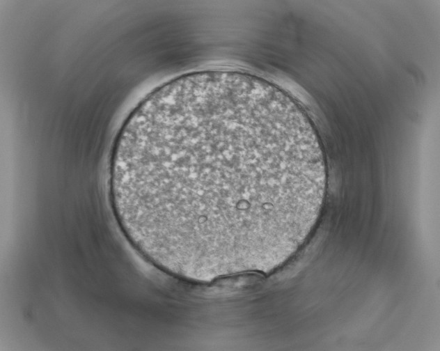 X0000112821430200910021152