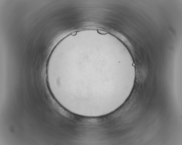 X0000112821431200910021152