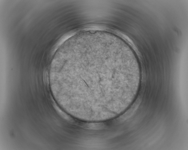 X0000112821433200910021152