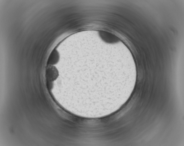 X0000112821434200910021152