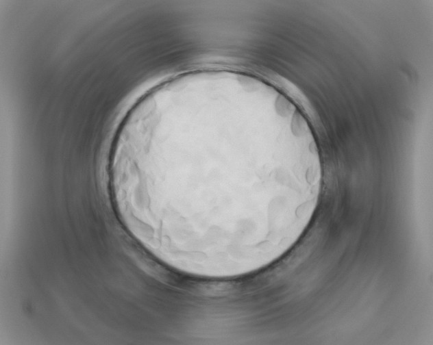 X0000112821435200910021152