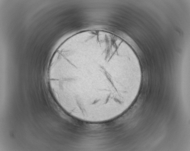 X0000112821436200910021152