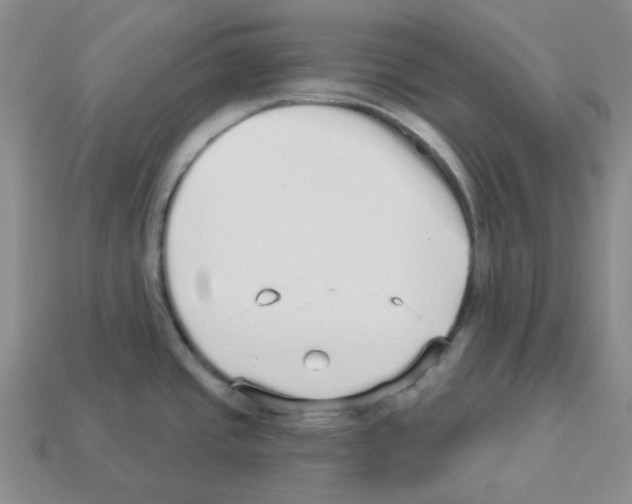 X0000112821437200910021152