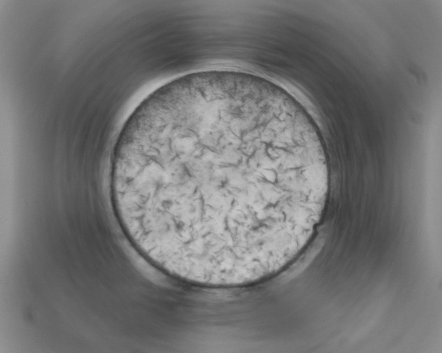 X0000112821438200910021152