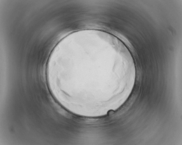 X0000112821439200910021152