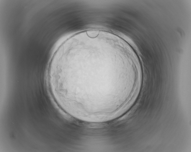 X0000112821440200910021152