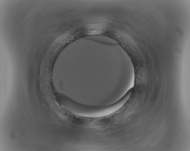 X0000112821441200910021152