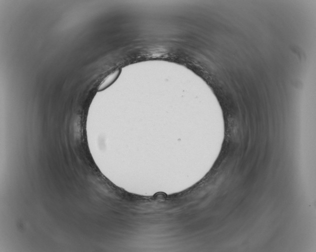 X0000112821442200910021152