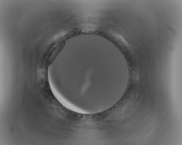 X0000112821445200910021152