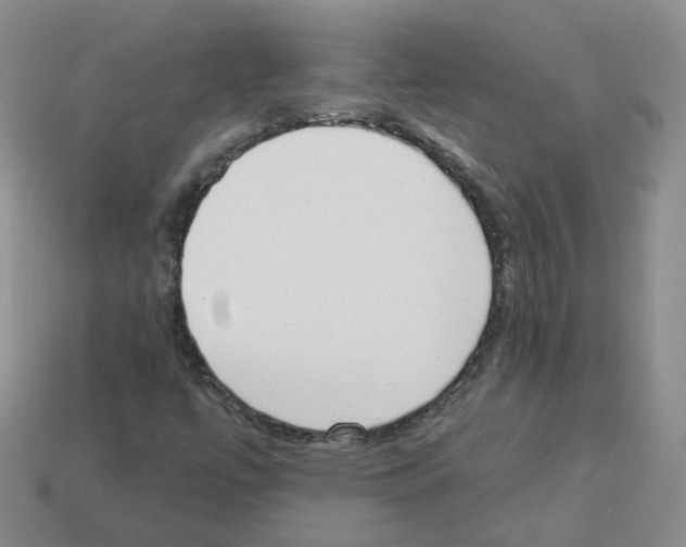 X0000112821447200910021152