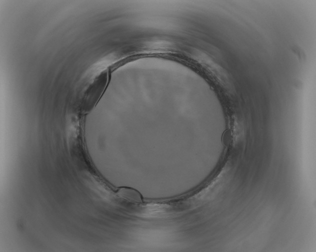 X0000112821449200910021152