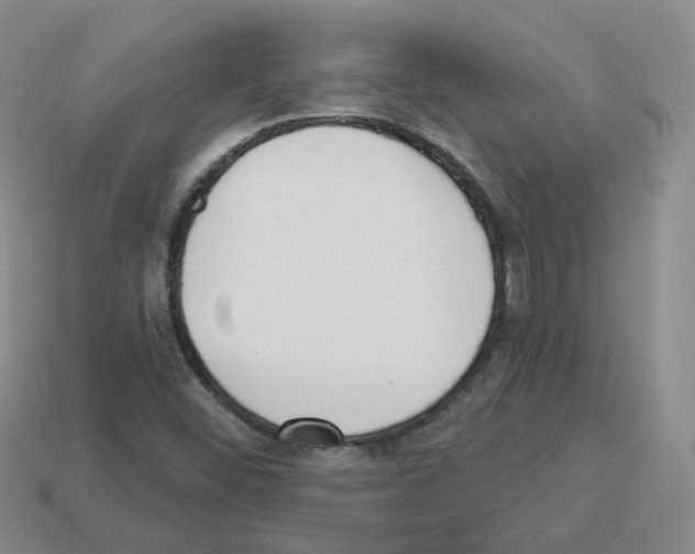 X0000112821452200910021152