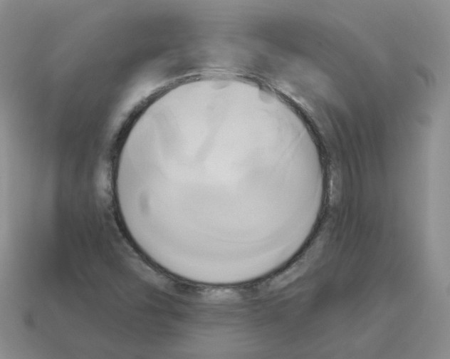 X0000112821454200910021152