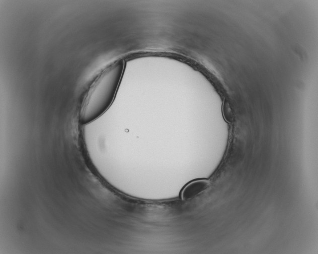 X0000112821456200910021151