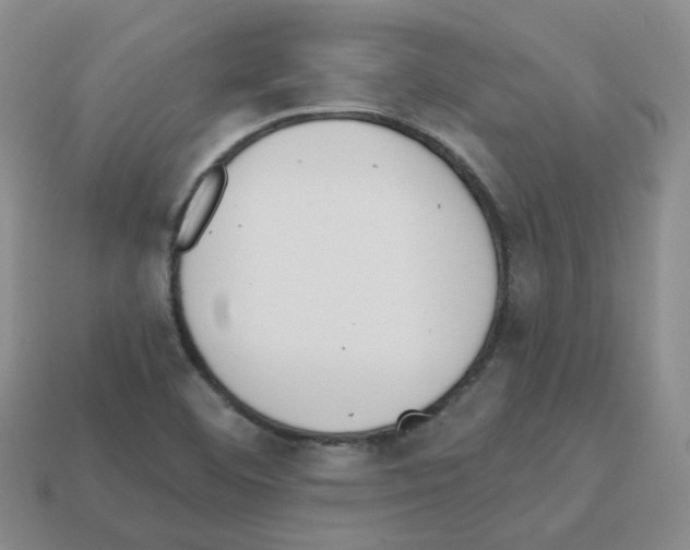 X0000112821460200910021151