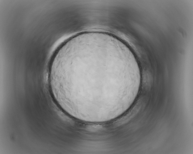 X0000112821462200910021151