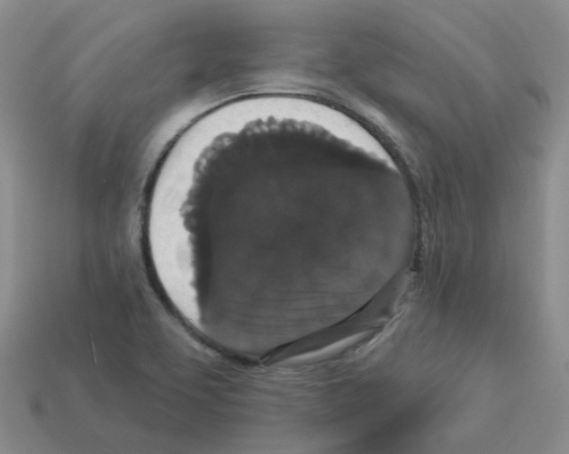 X0000112821463200910021151