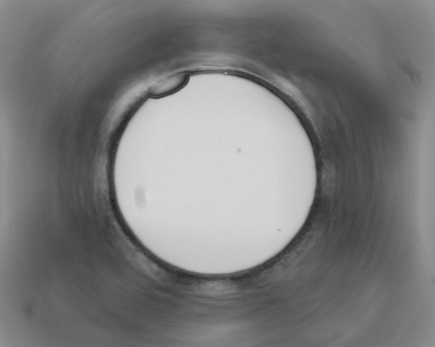 X0000112821464200910021151