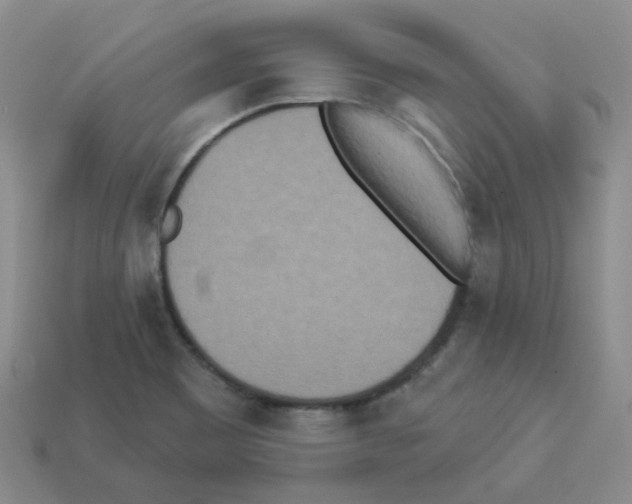 X0000112821465200910021151