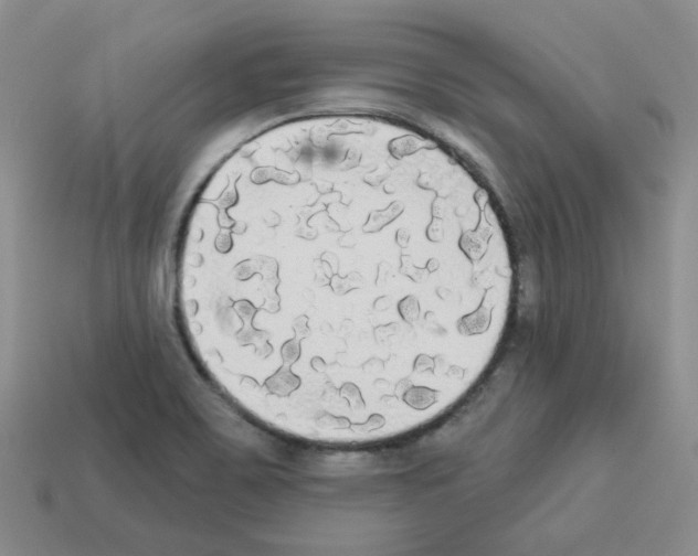 X0000112821467200910021151