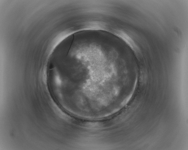 X0000112821468200910021151