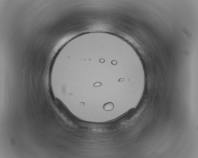 X0000112821469200910021151