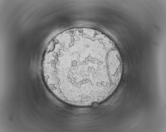 X0000112821471200910021151