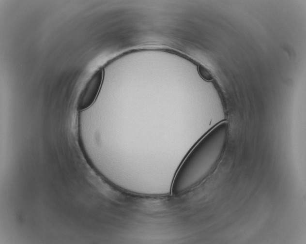 X0000112821472200910021151