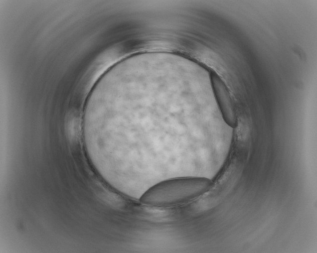 X0000112821473200910021151