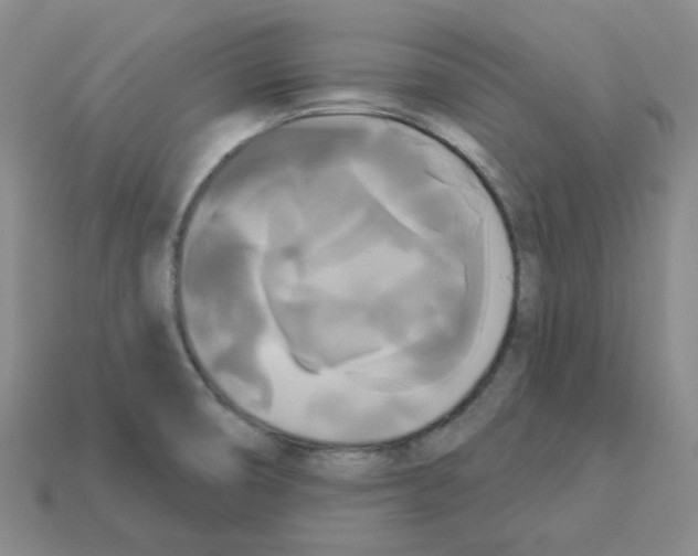 X0000112821474200910021151