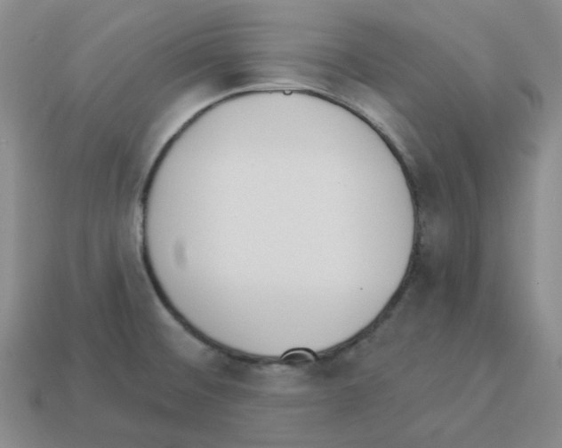 X0000112821476200910021151