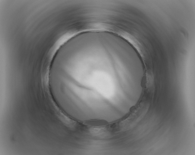 X0000112821477200910021151