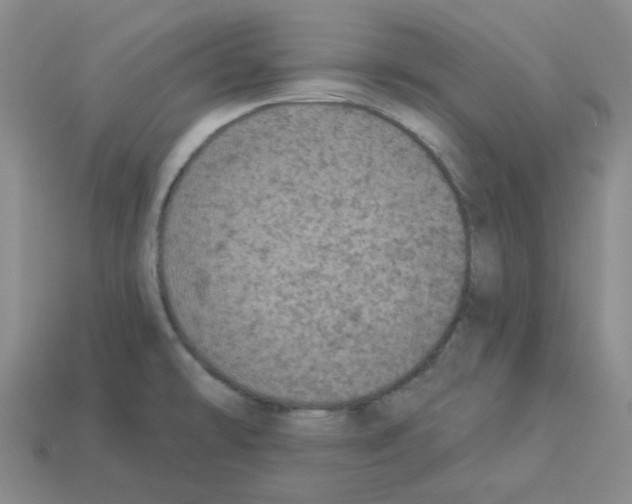 X0000112821478200910021151