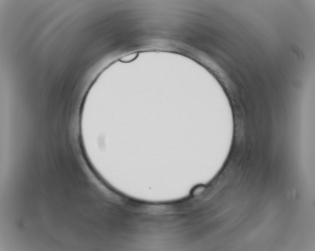 X0000112821479200910021151