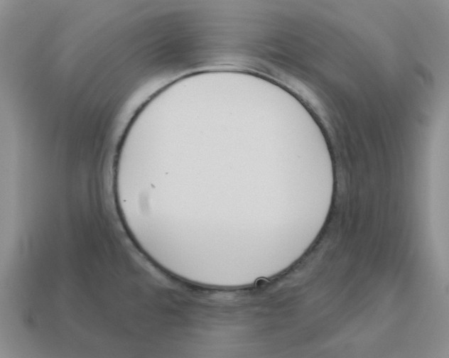 X0000112821480200910021151