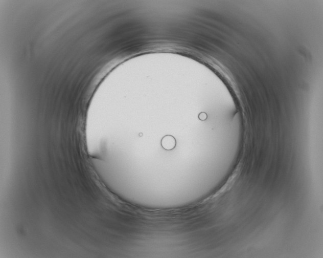 X0000112821481200910021151