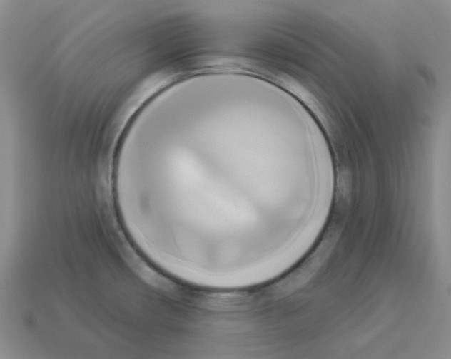 X0000112821482200910021151