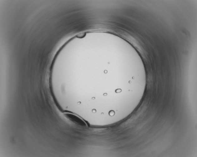 X0000112821484200910021151