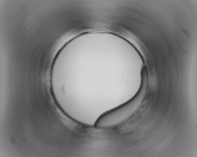 X0000112821485200910021151