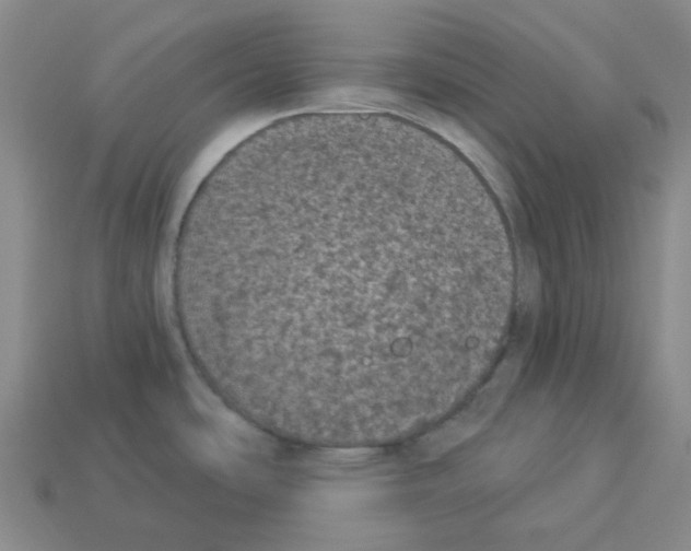 X0000112821486200910021151