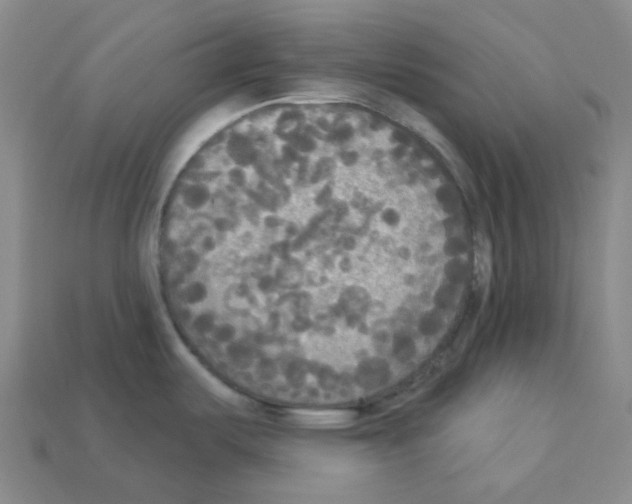 X0000112821487200910021151