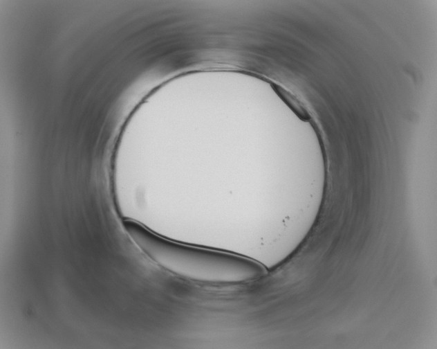 X0000112821488200910021151