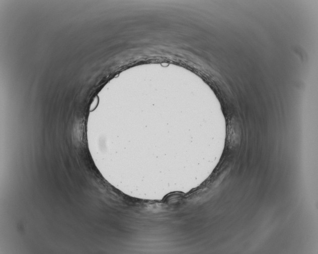 X0000112821490200910021150