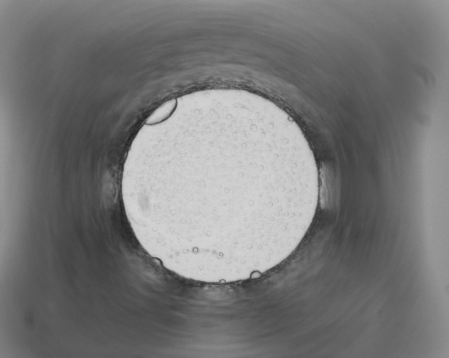 X0000112821491200910021150