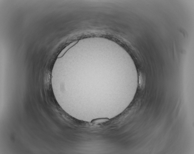 X0000112821492200910021150