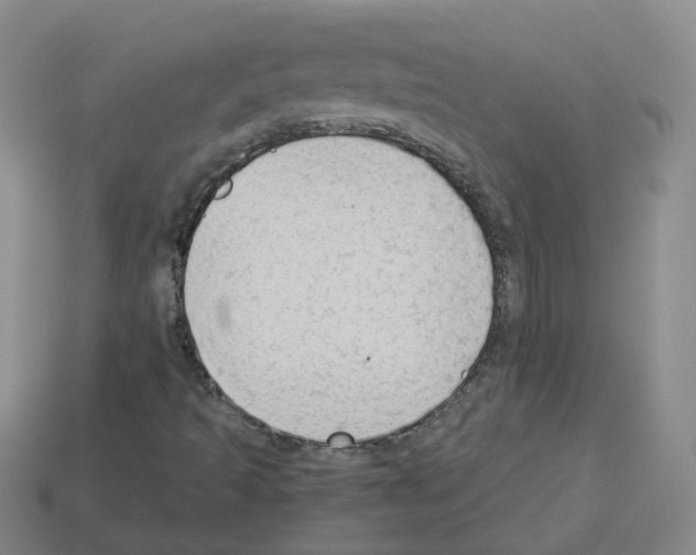 X0000112821493200910021151