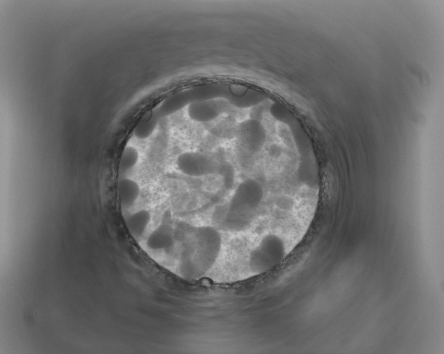 X0000112821494200910021151