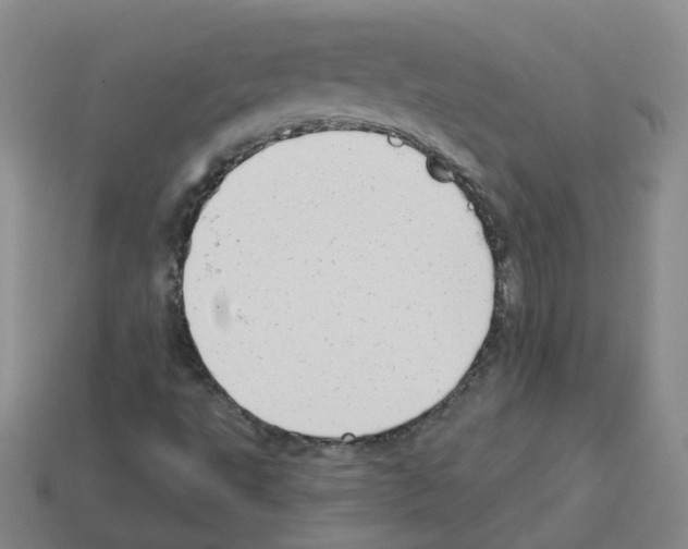 X0000112821495200910021151